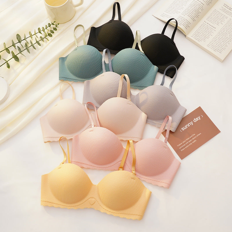 Seamless Padded Bra – Smooth, Comfortable, and Supportive Fit