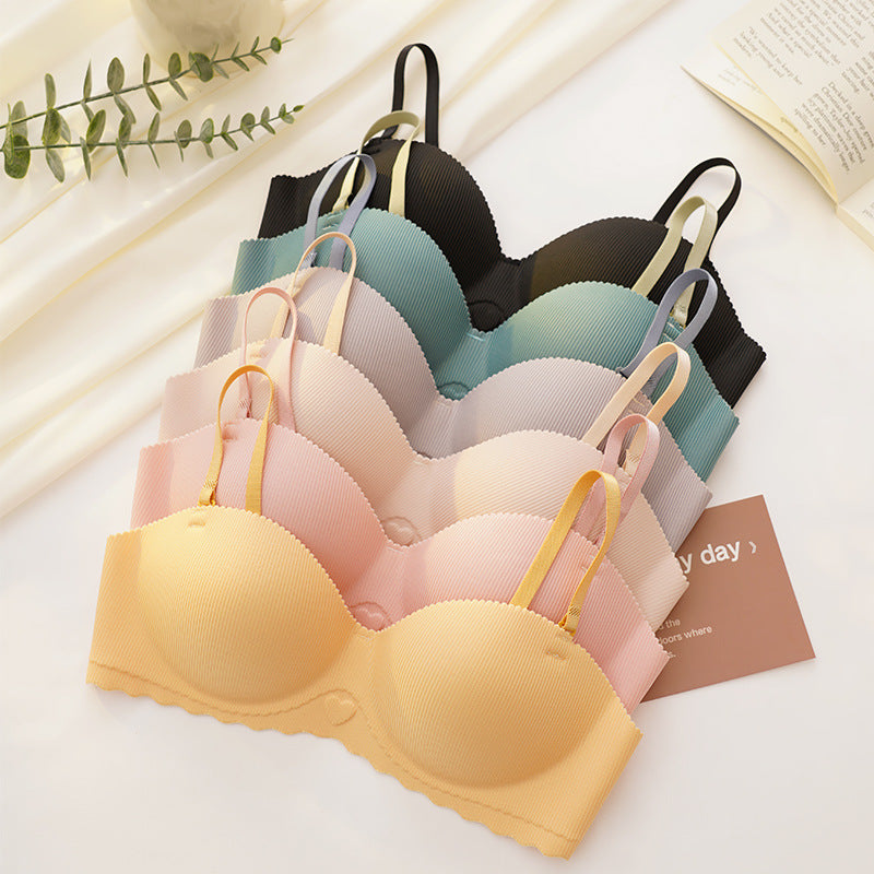 Seamless Padded Bra – Smooth, Comfortable, and Supportive Fit