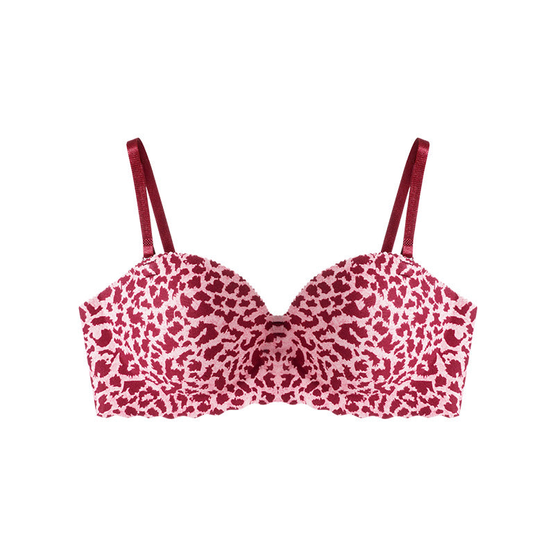 Comfortable Padded Bra – Soft Support with Adjustable Hooks and Straps